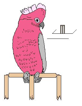 Bracken Ridge District Cricket Club